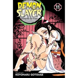 Demon Slayer 11