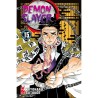 Demon Slayer 15