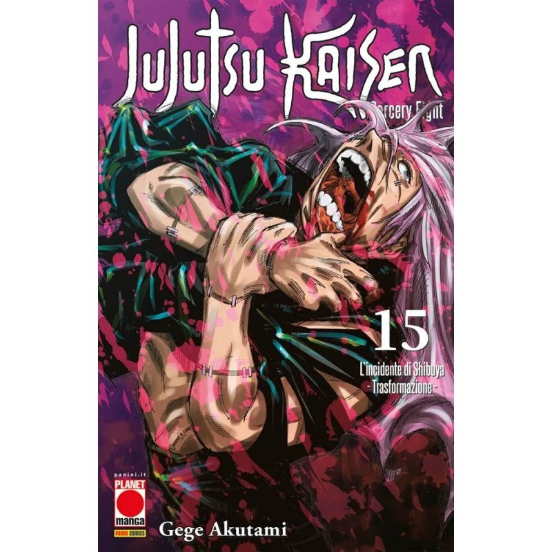 Jujutsu Kaisen 15