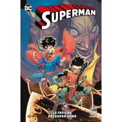 Superboy/Robin: Le Fatiche...