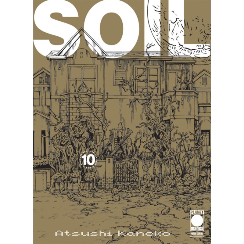 SOIL 10