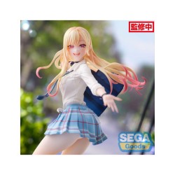 MY DRESS UP DARLING MARIN SPARKLING FIGURE