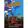 DAREDEVIL DI FRANK MILLER COMPANION