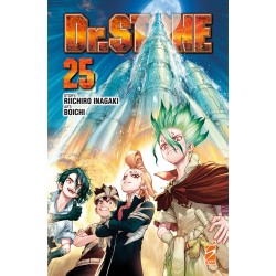 DR.STONE 25