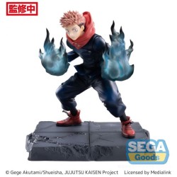 JUJUTSU KAISEN YUJI JOINT...