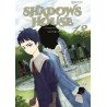 Shadows house 13