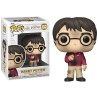 HARRY POTTER W/THE STONE POP
