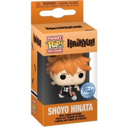 HAIKYU SHOYO HINATA...
